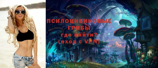 гидра Медногорск
