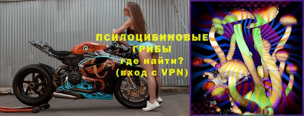 гидра Медногорск