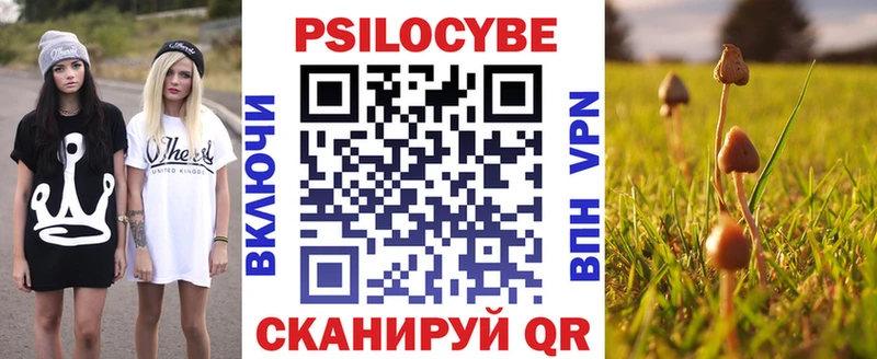 OMG как войти Саратов Псилоцибиновые грибы мухоморы как найти