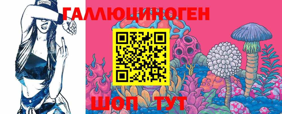 Псилоцибиновые грибы Psilocybine cubensis  Вход с VPN  Саратов 